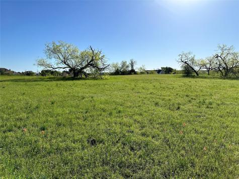 Lot 81 Moonlight Bay Court Streetman TX 75859