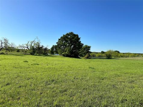 Lot 81 Moonlight Bay Court Streetman TX 75859