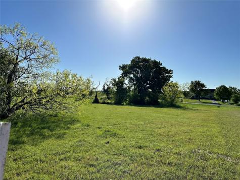 Lot 81 Moonlight Bay Court Streetman TX 75859