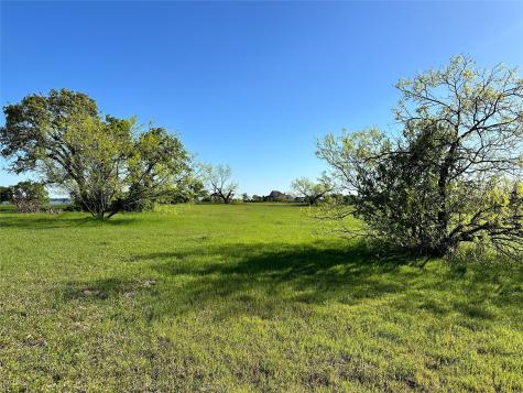 Lot 81 Moonlight Bay Court Streetman TX 75859
