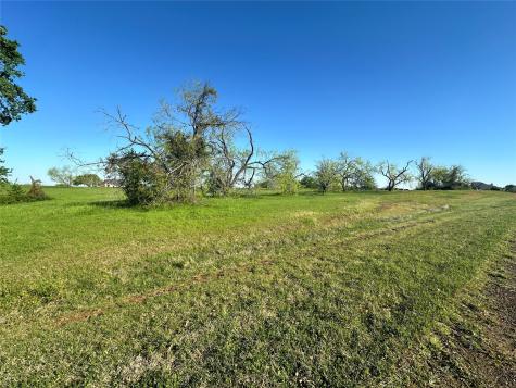 Lot 81 Moonlight Bay Court Streetman TX 75859