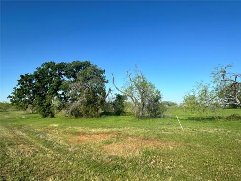 Lot 81 Moonlight Bay Court Streetman TX 75859