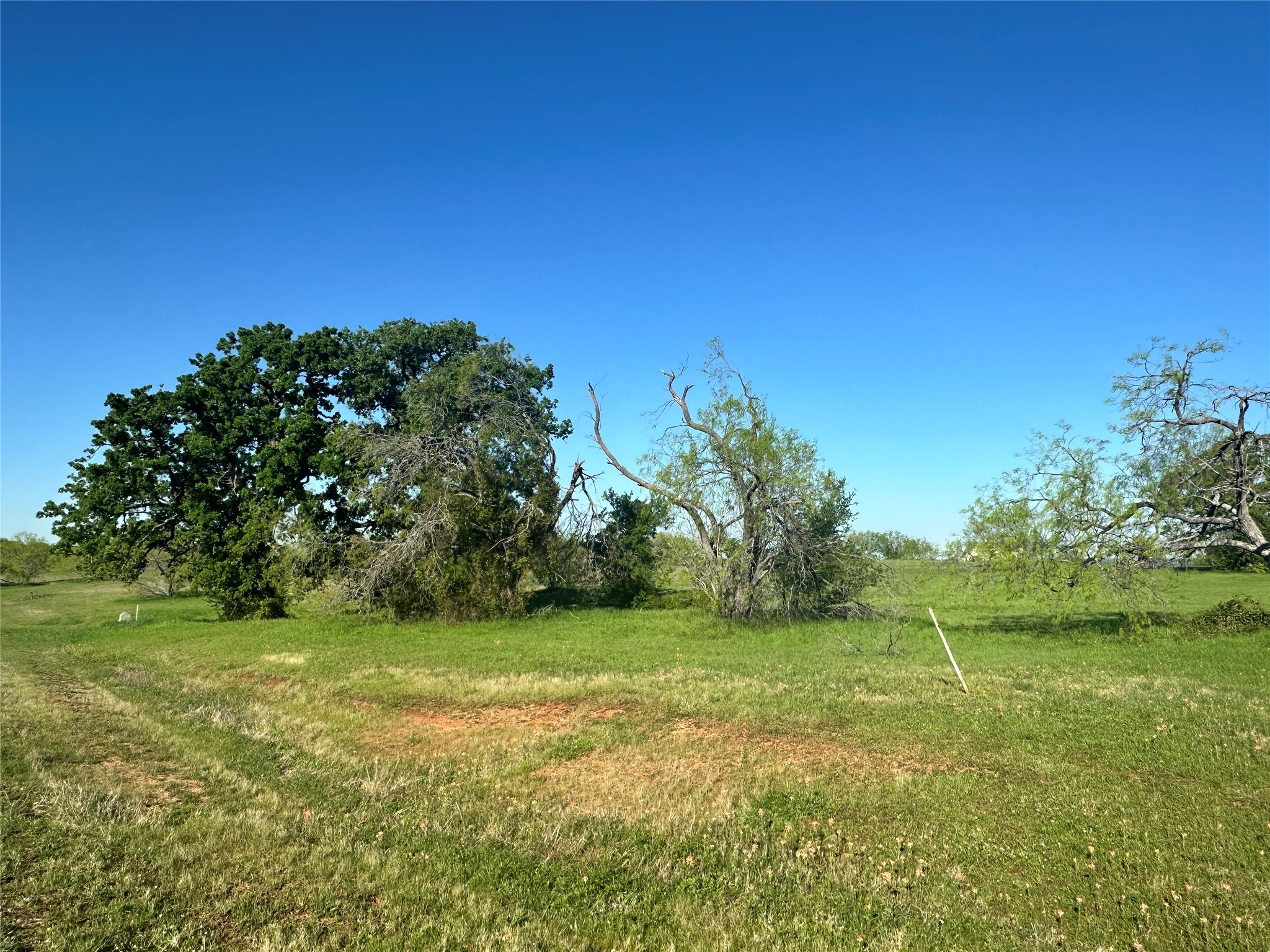 Lot 81 Moonlight Bay Court Streetman TX 75859