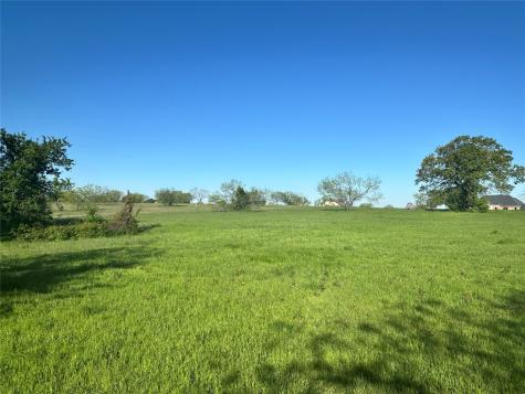 Lot 81 Moonlight Bay Court Streetman TX 75859