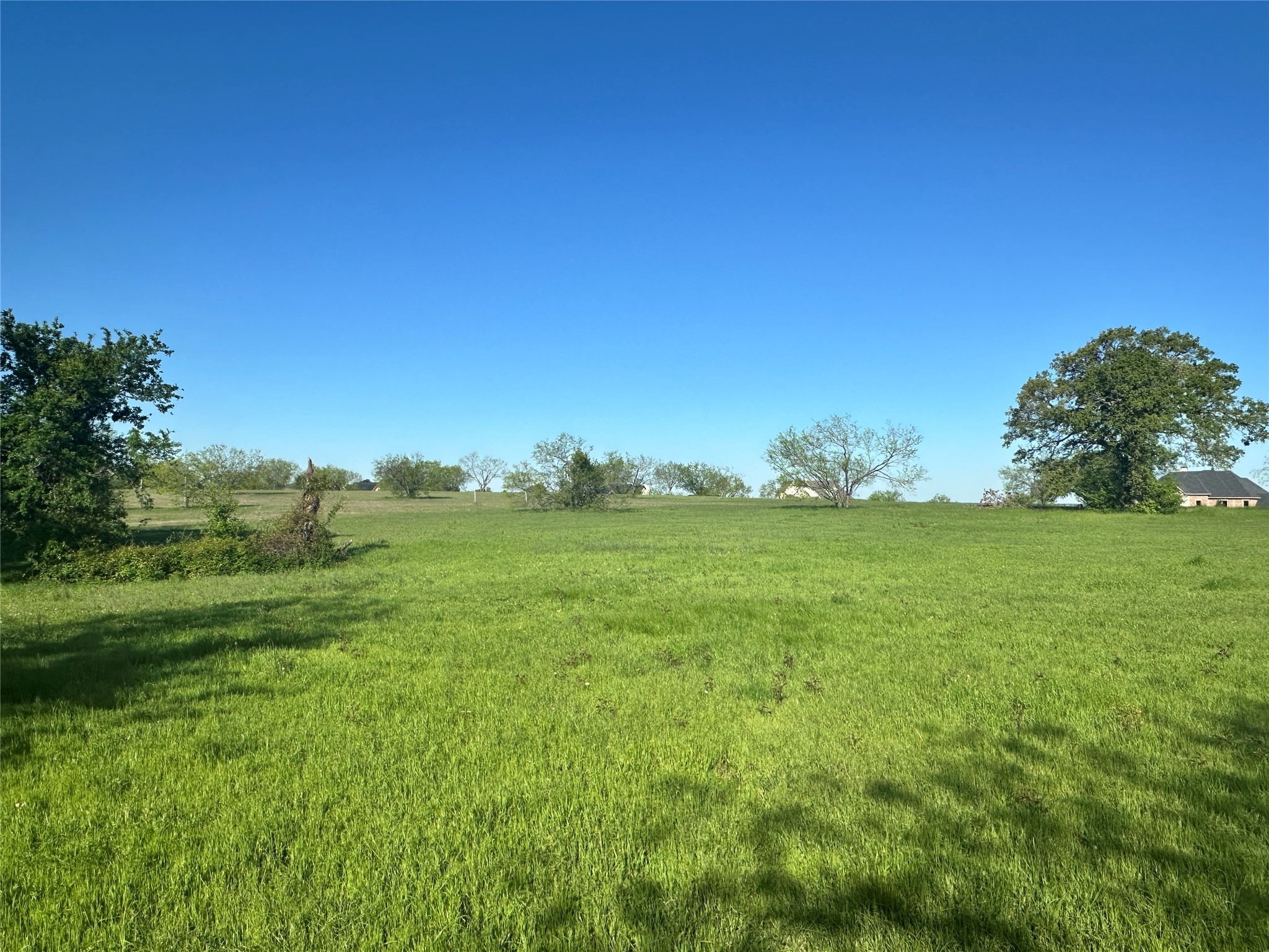 Lot 81 Moonlight Bay Court Streetman TX 75859