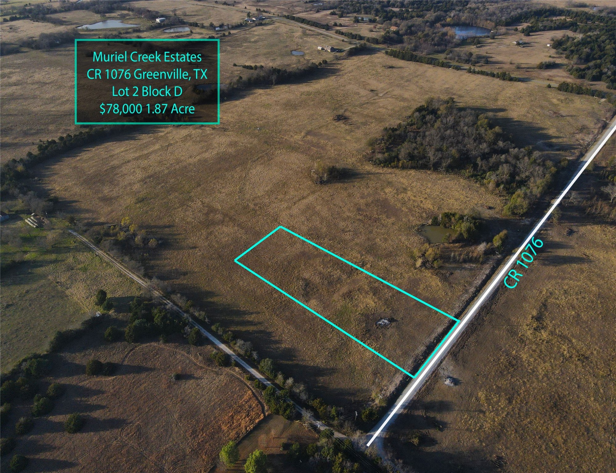 LOT2 B Cr 1076 Celeste TX 75423