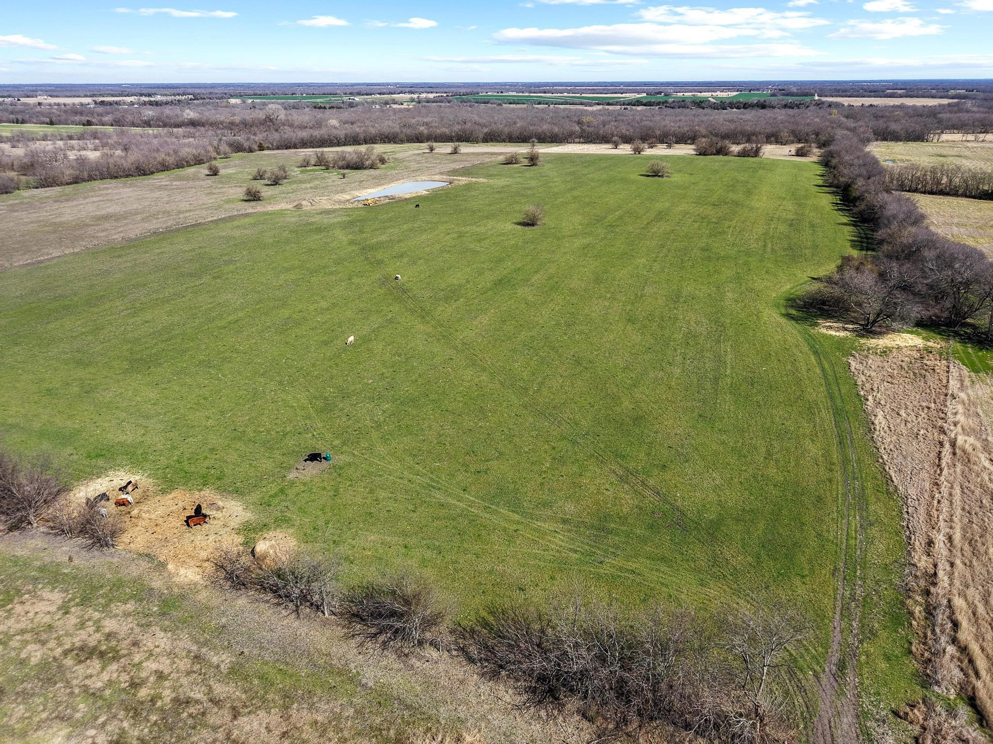 Tbd County Road 4702 Commerce TX 75428