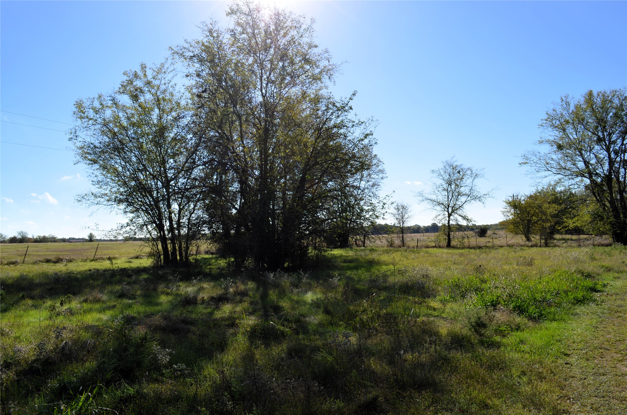 Tract 1 Fm 3080 Mabank TX 75147