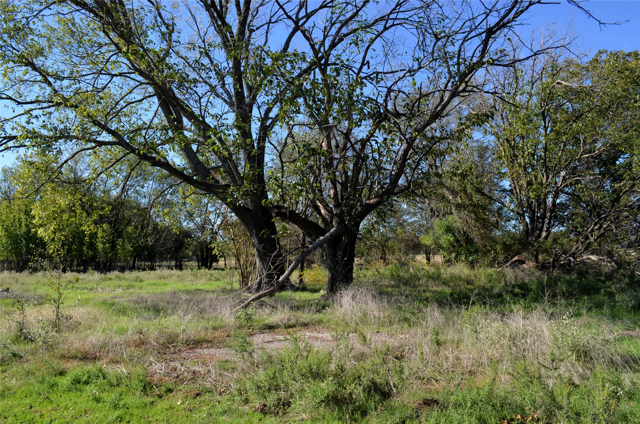 Tract 1 Fm 3080 Mabank TX 75147