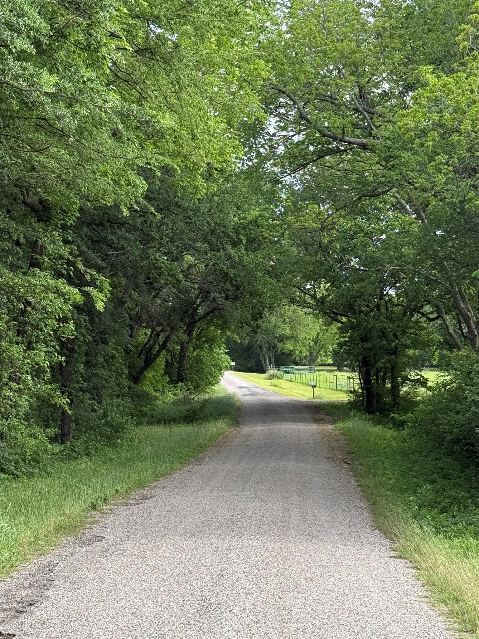 Tbd Boren Road Collinsville TX 76233