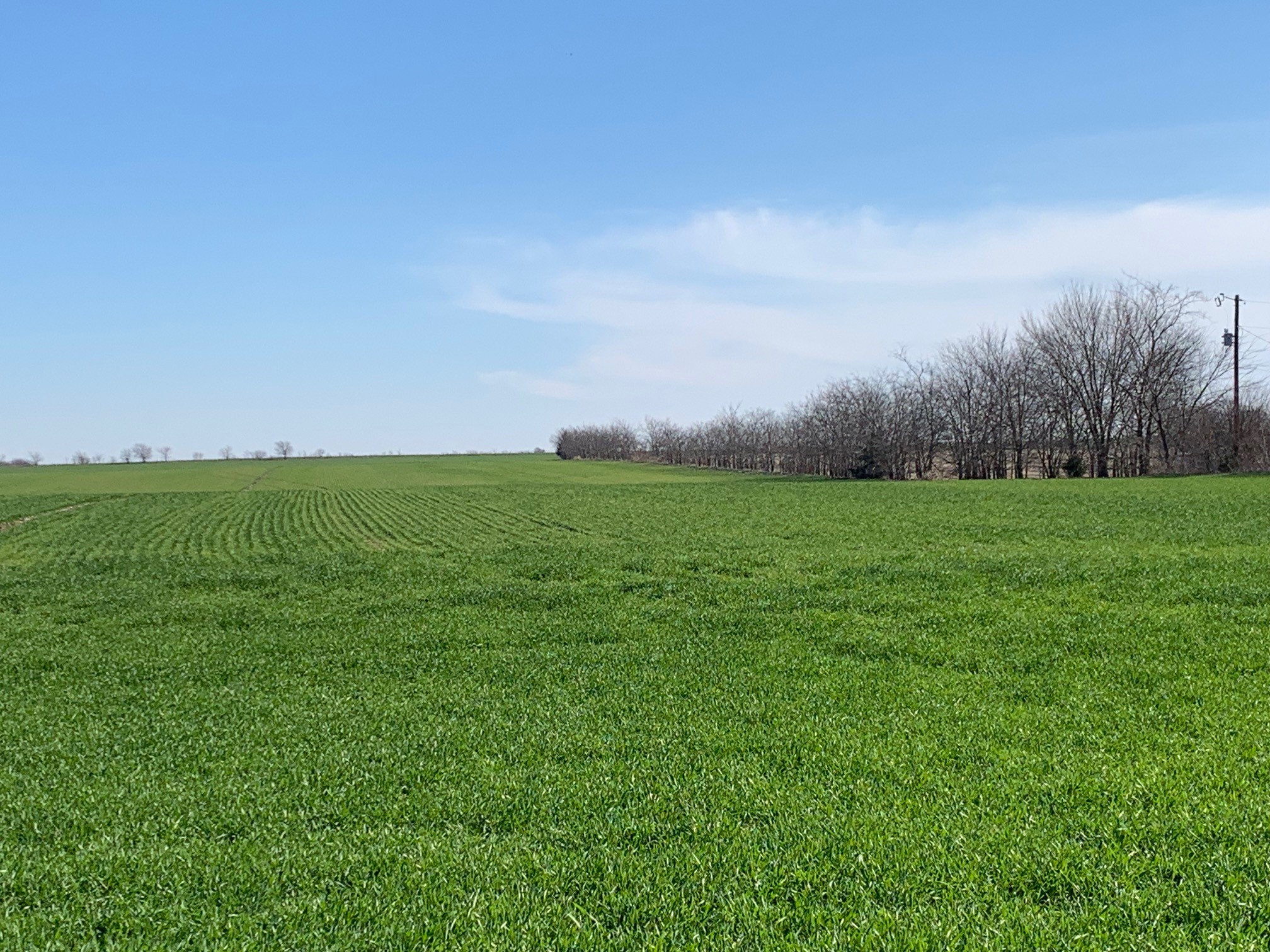 Tbd Boren Road Collinsville TX 76233