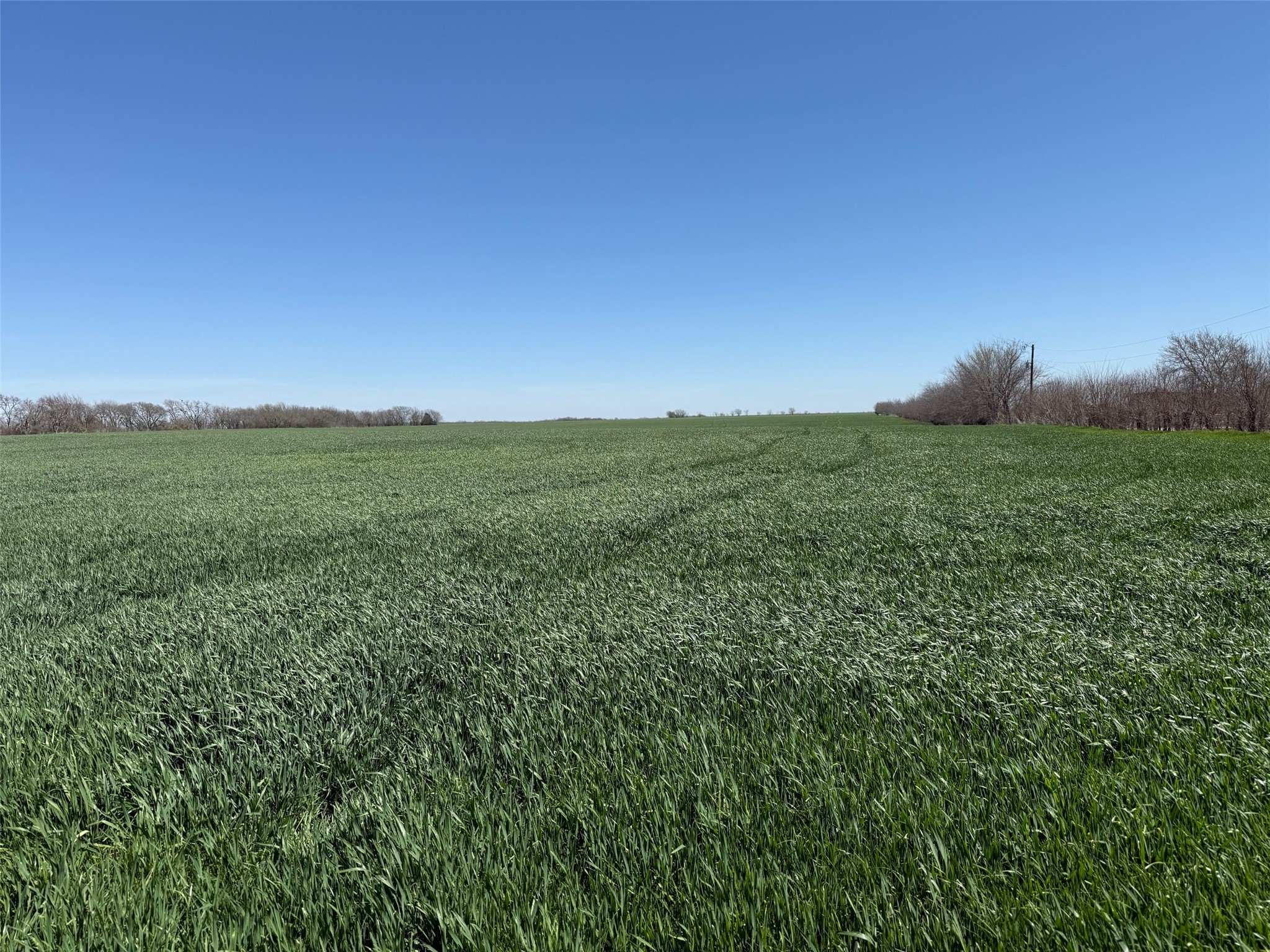 Tbd Boren Road Collinsville TX 76233