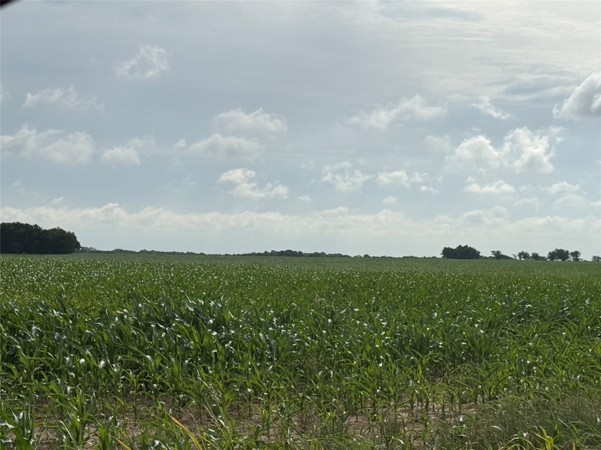 Tbd Boren Road Collinsville TX 76233