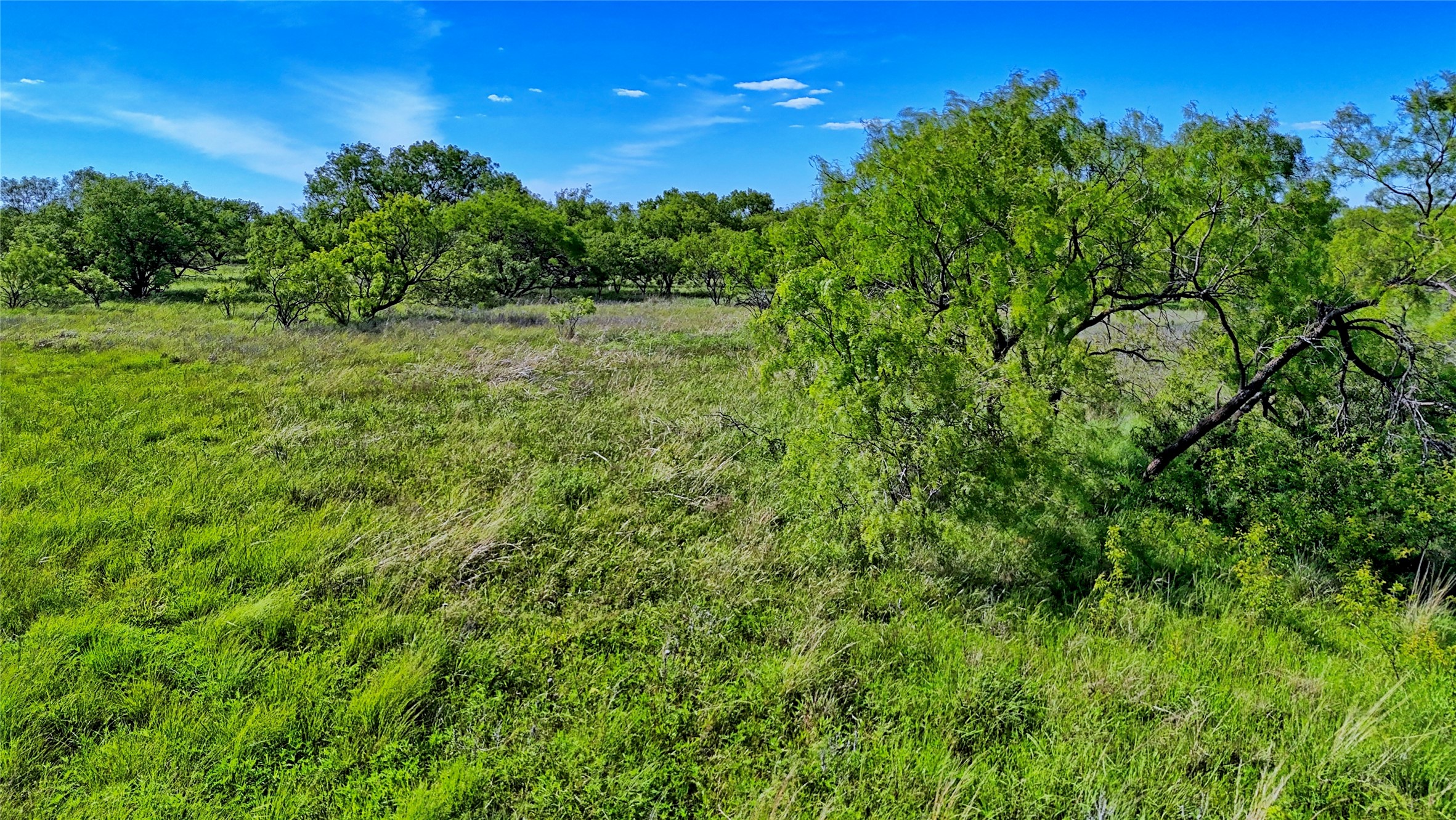 0000 Carpenter Road Nocona TX 76255