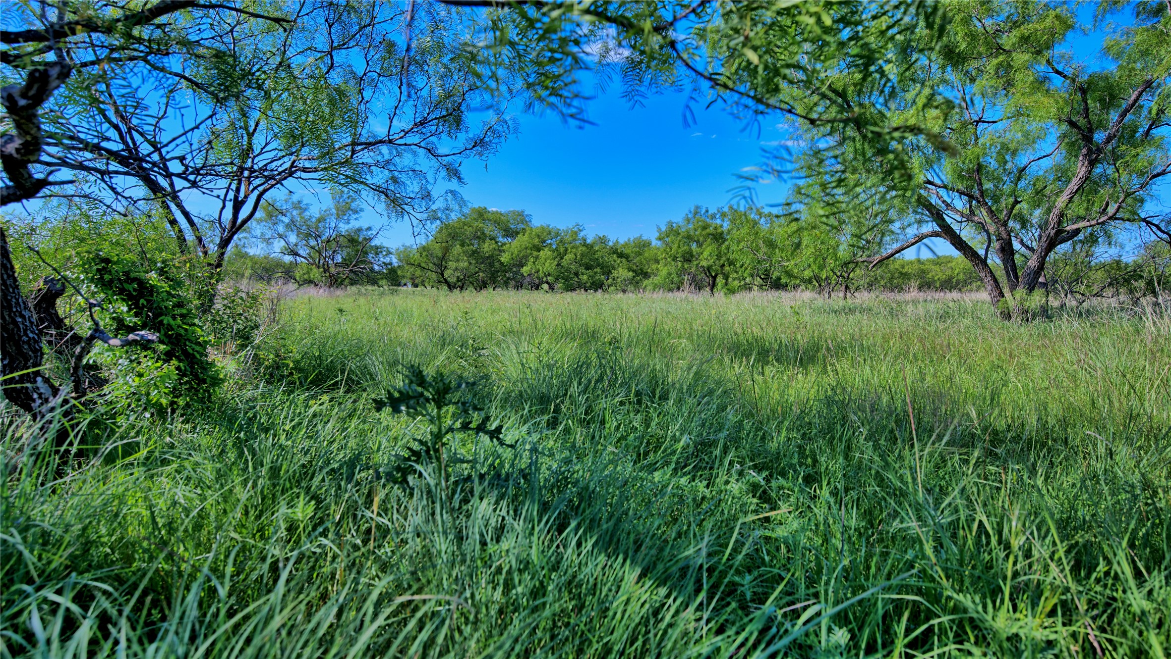 0000 Carpenter Road Nocona TX 76255