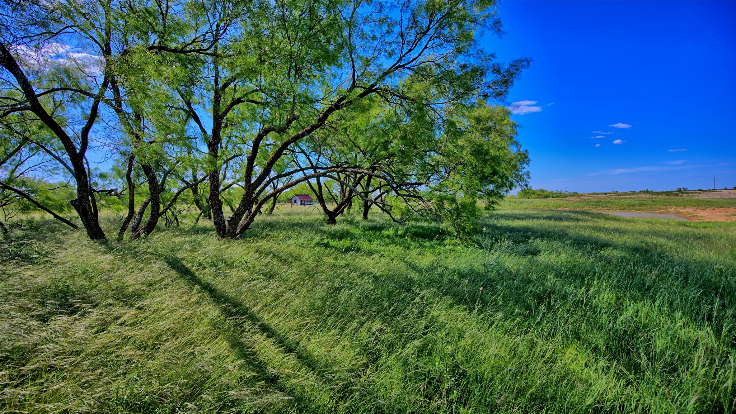 0000 Carpenter Road Nocona TX 76255
