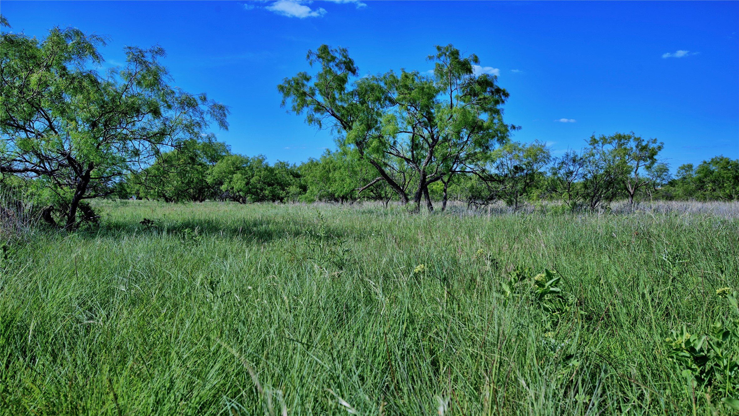 0000 Carpenter Road Nocona TX 76255