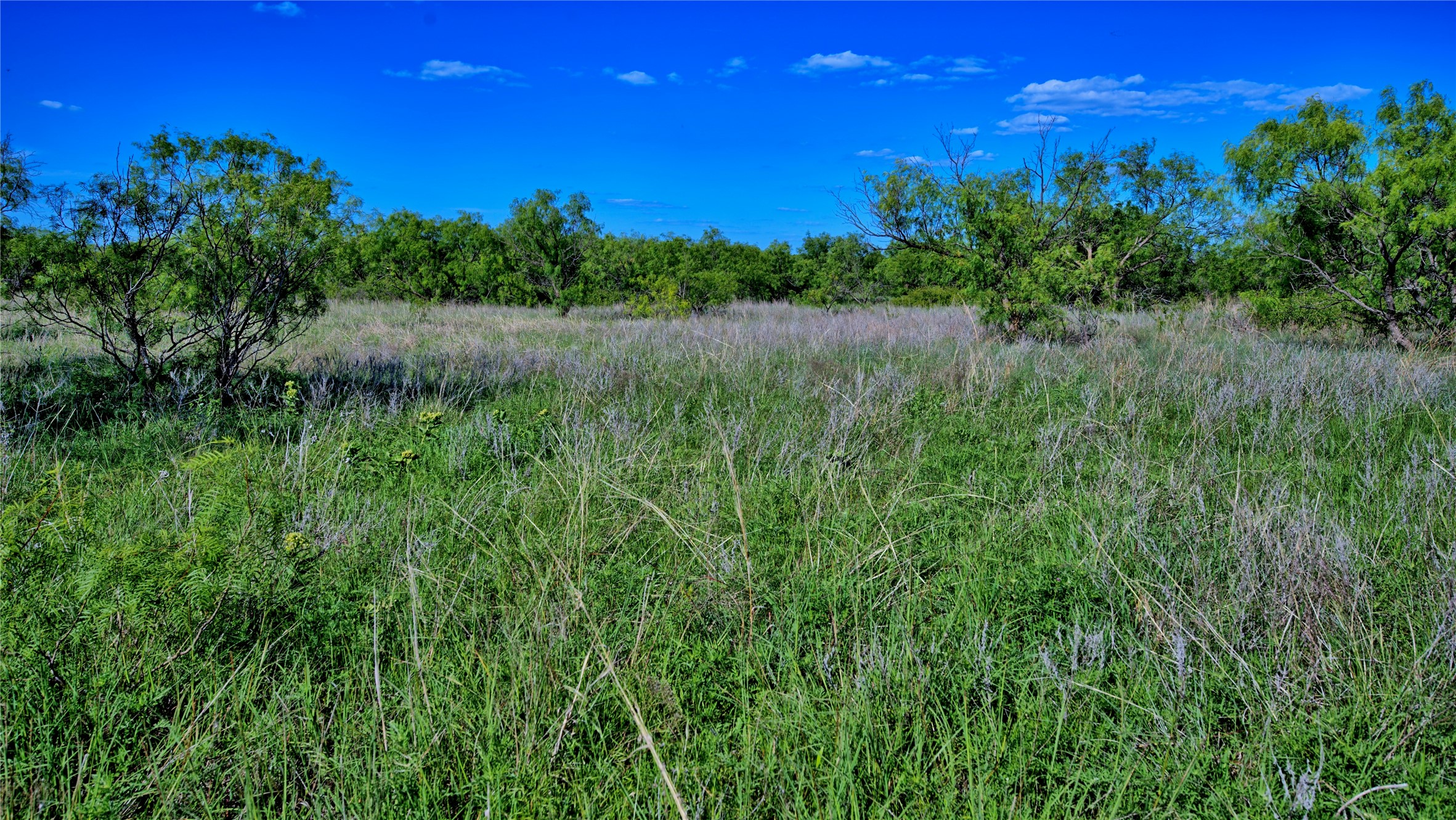 0000 Carpenter Road Nocona TX 76255