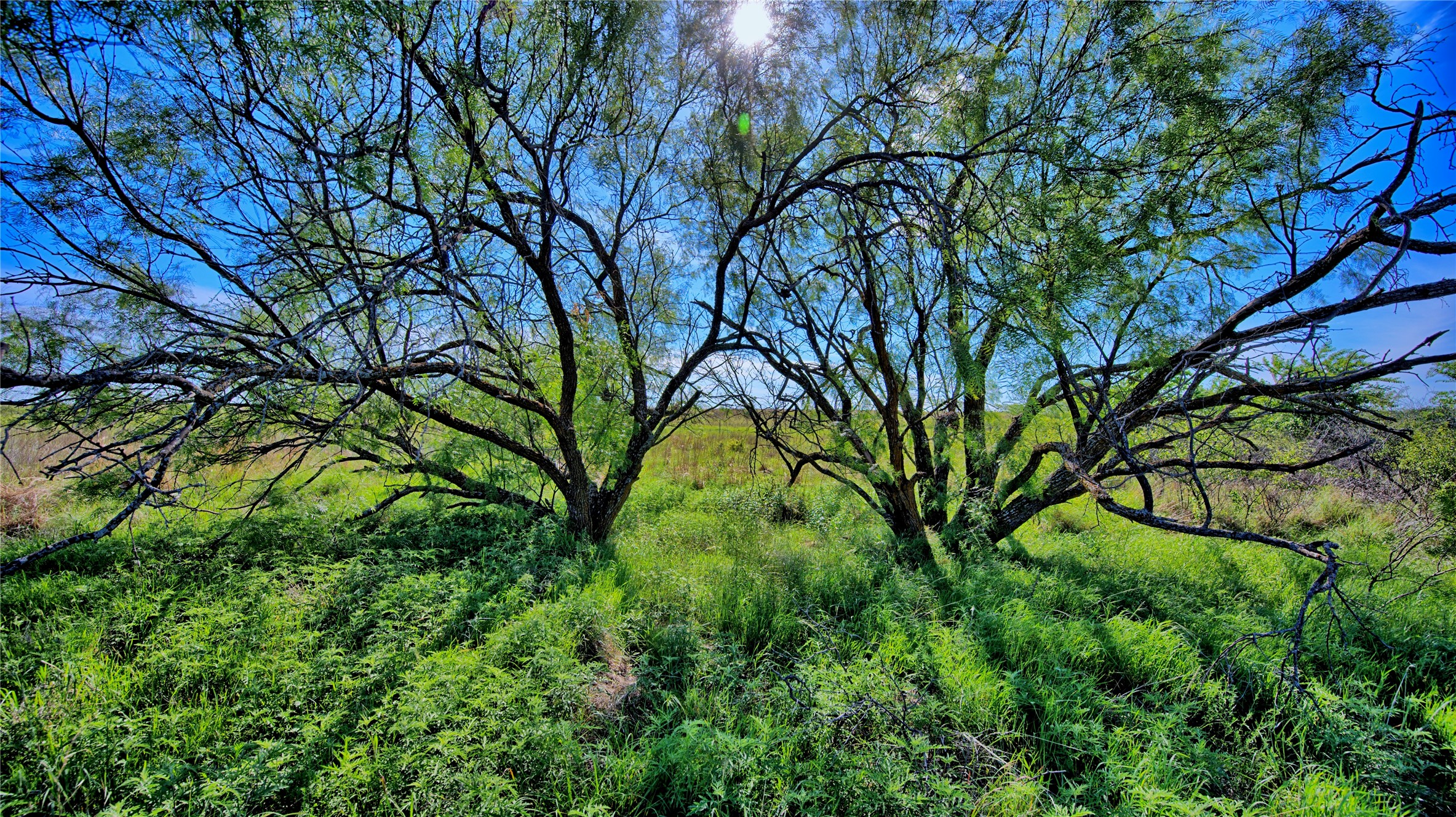 0000 Carpenter Road Nocona TX 76255