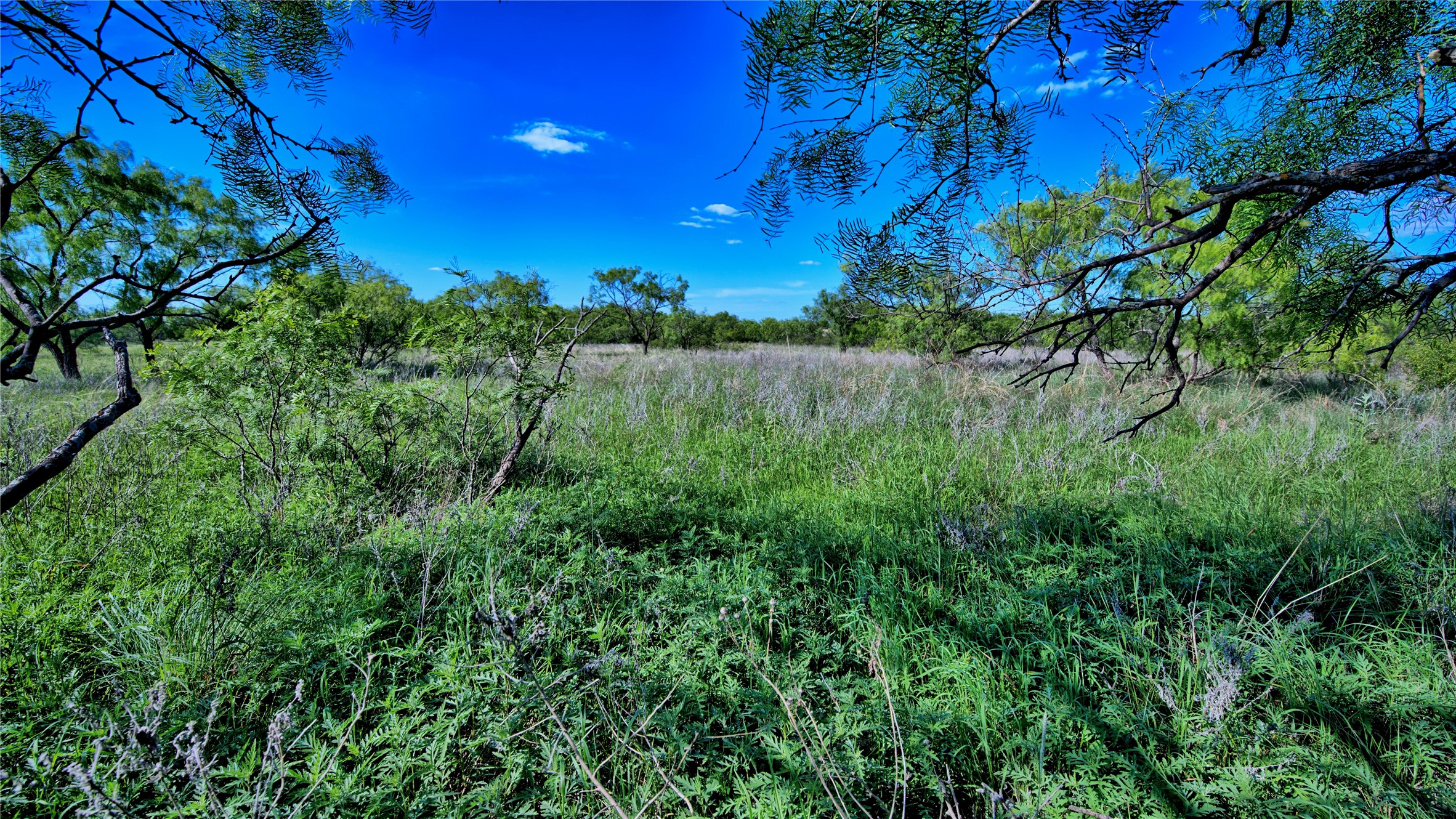 0000 Carpenter Road Nocona TX 76255