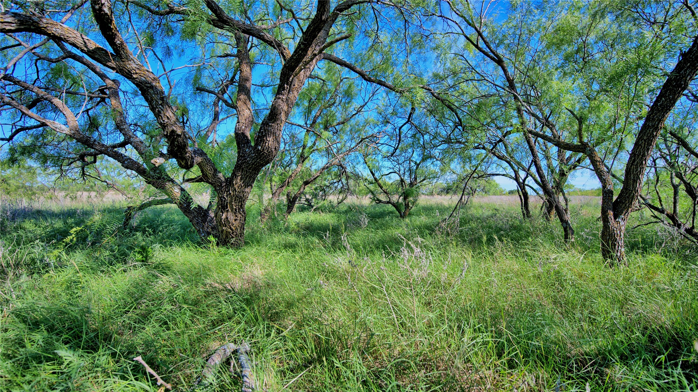 0000 Carpenter Road Nocona TX 76255