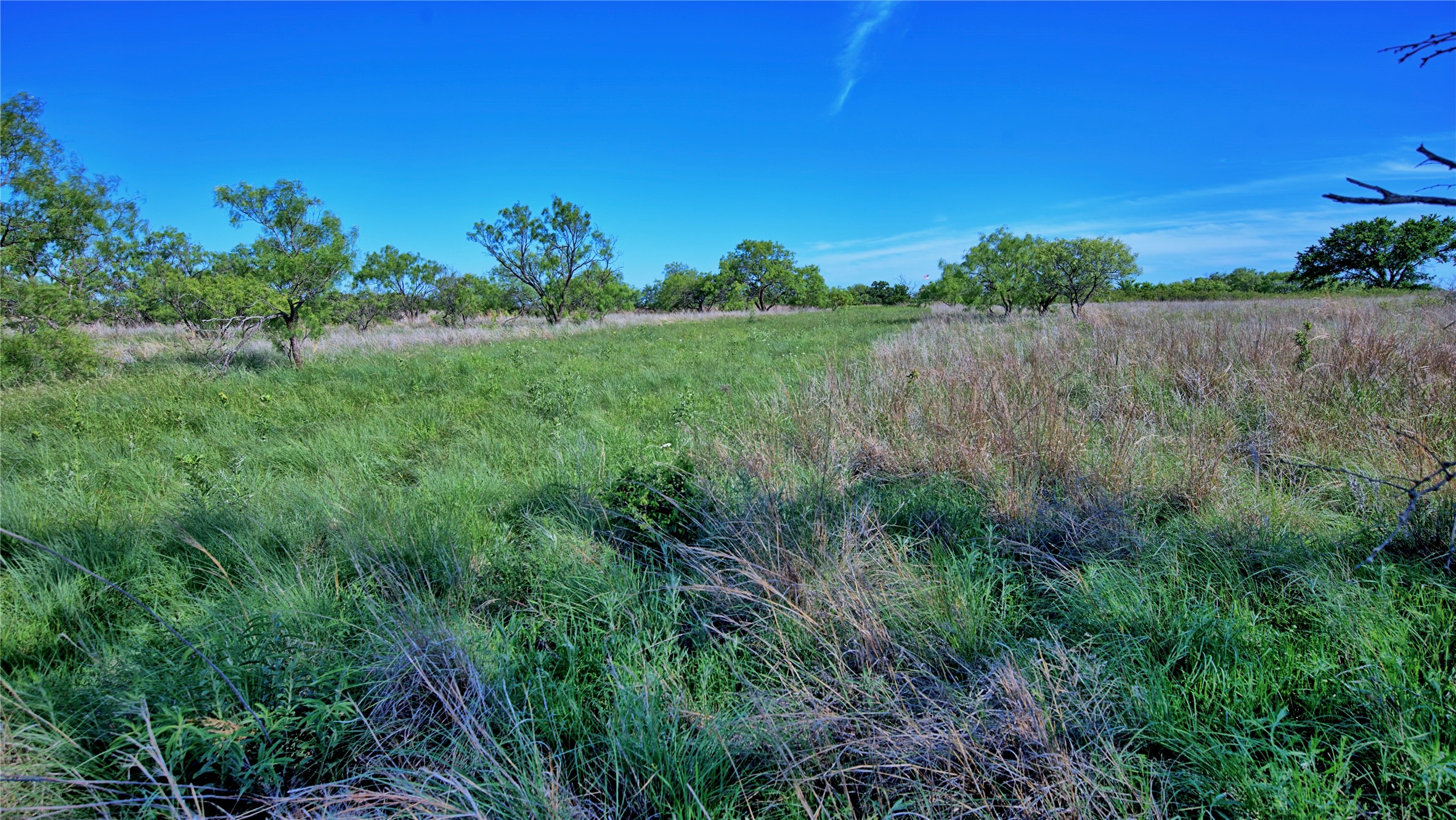 0000 Carpenter Road Nocona TX 76255