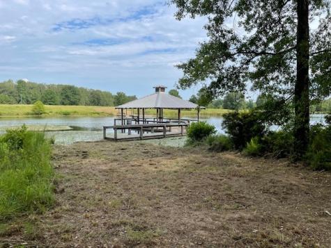 Lake Country (Lot 11) TX-77 Atlanta TX 75551