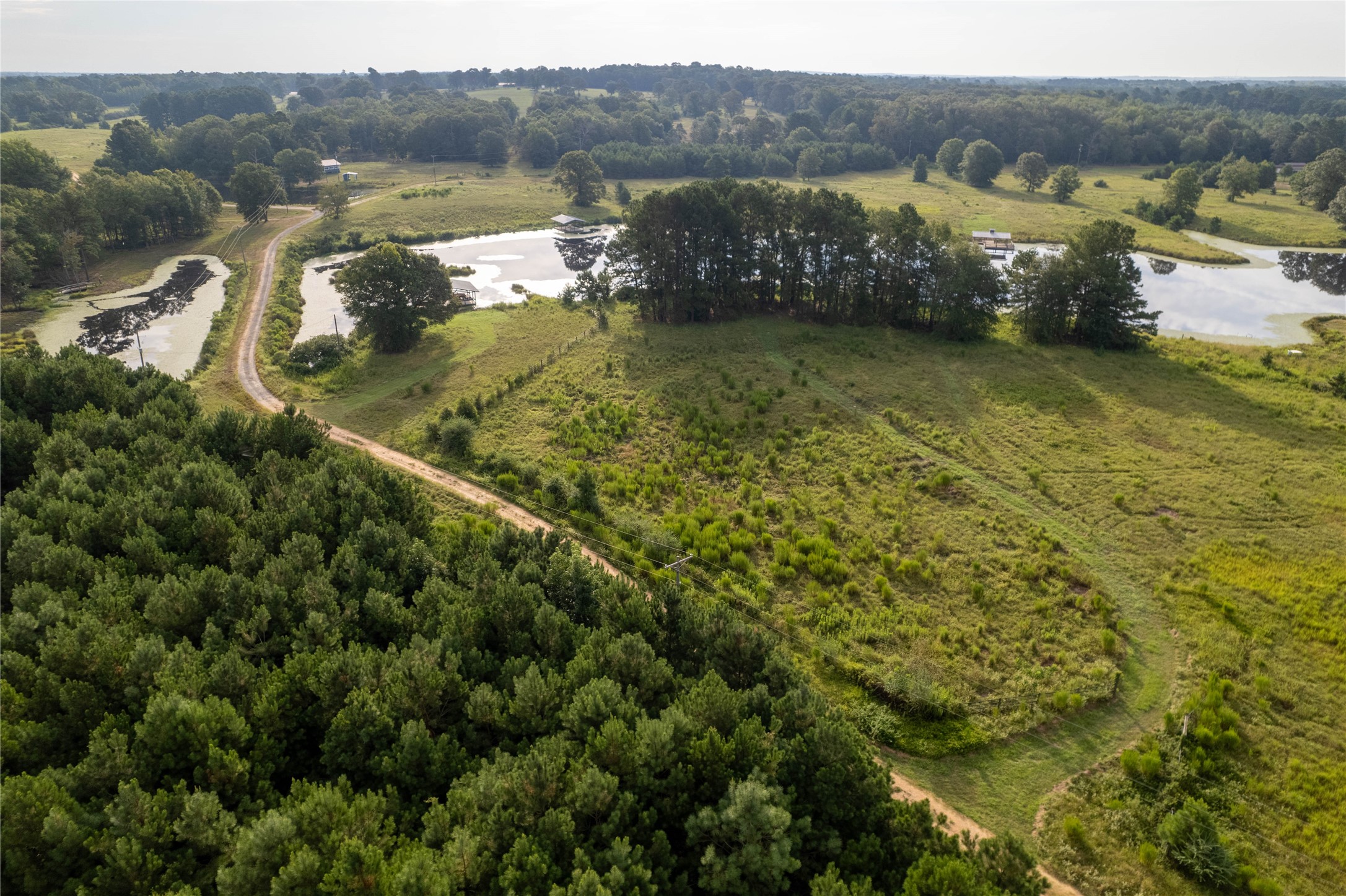 Lake Country (Lot 11) Tx-77 Atlanta TX 75551