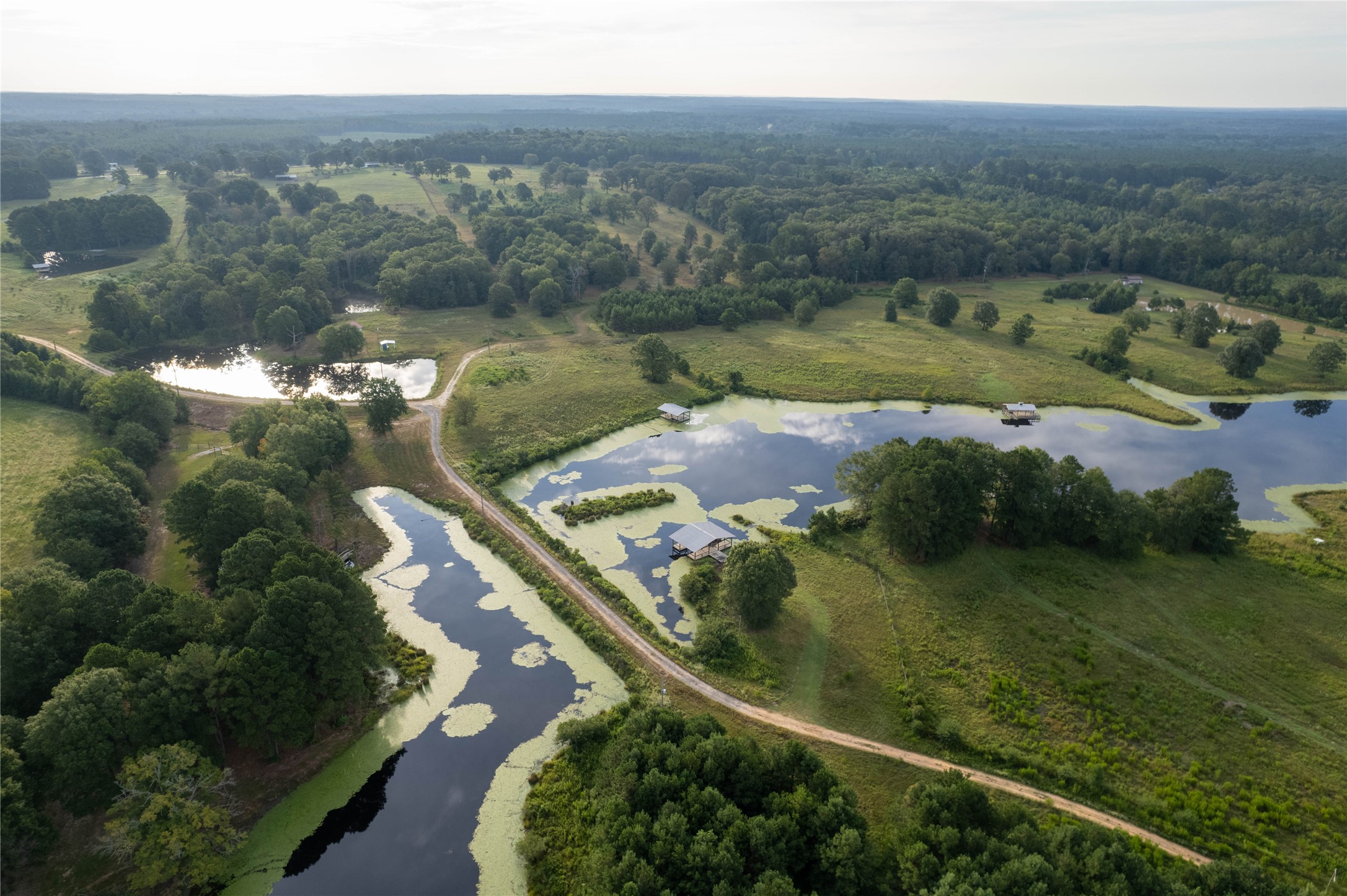 Lake Country (Lot 11) Tx-77 Atlanta TX 75551