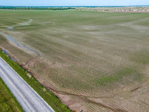 170 Wall Street Road Gunter TX 75058