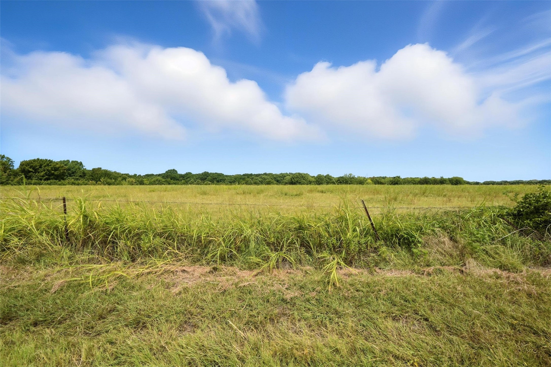 000 County Road 487 Nevada TX 75173