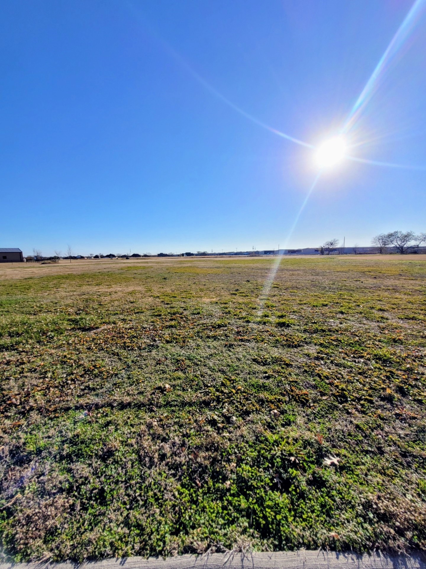 2040 Buck Court Caddo Mills TX 75135