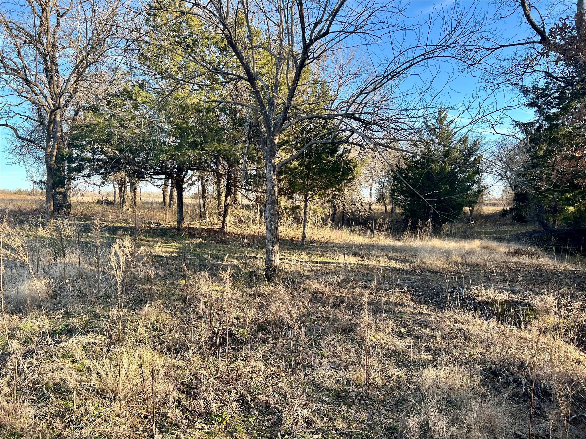 0 Blackjack Parkway Nocona TX 76255