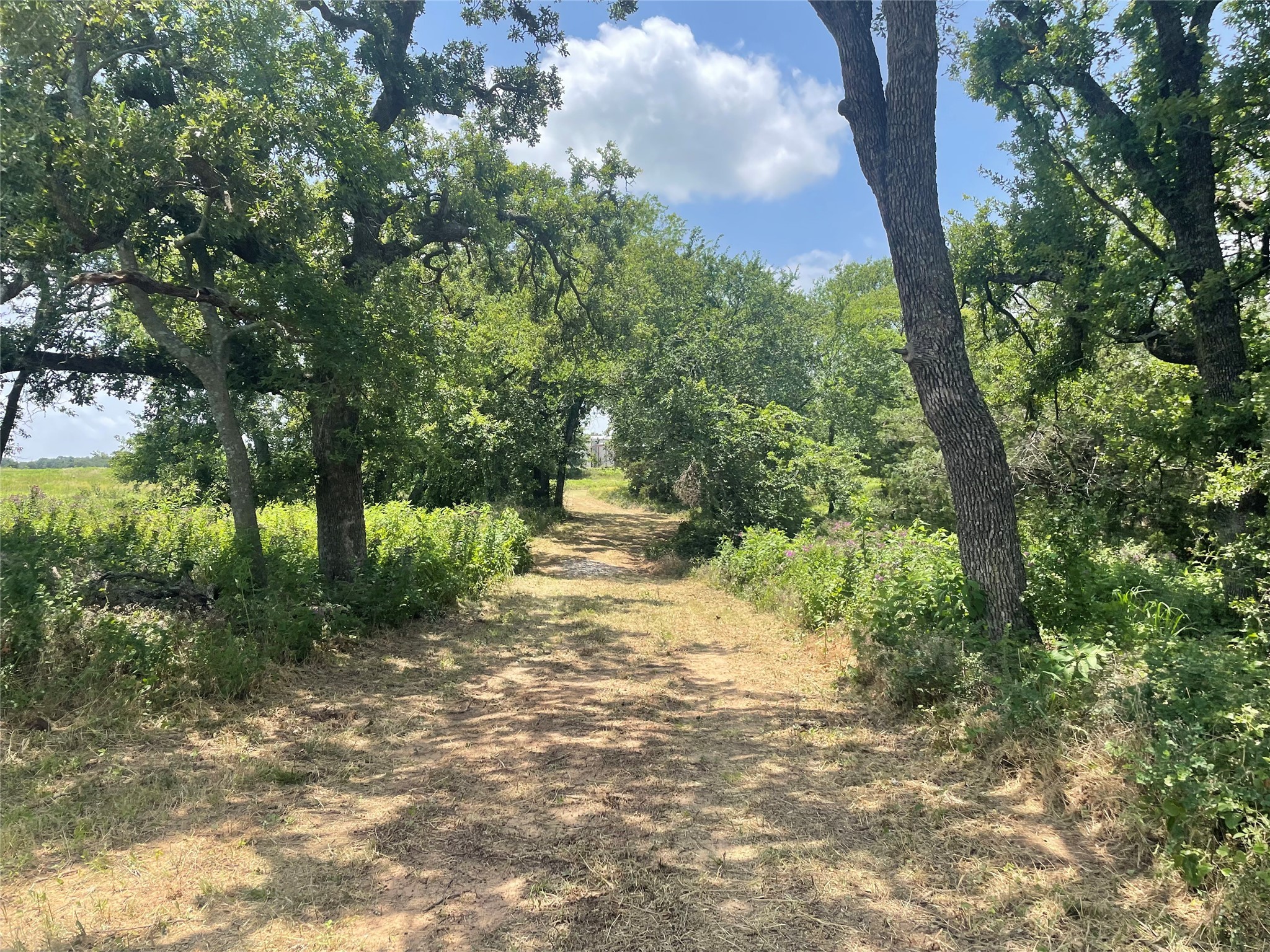 0 Blackjack Parkway Nocona TX 76255