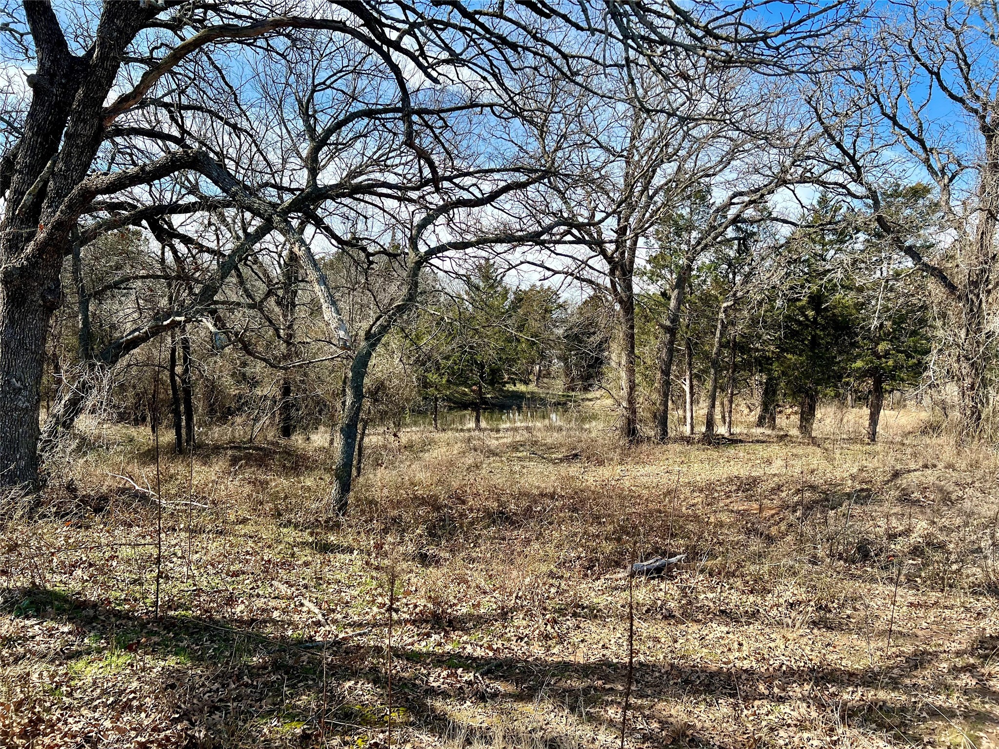 0 Blackjack Parkway Nocona TX 76255