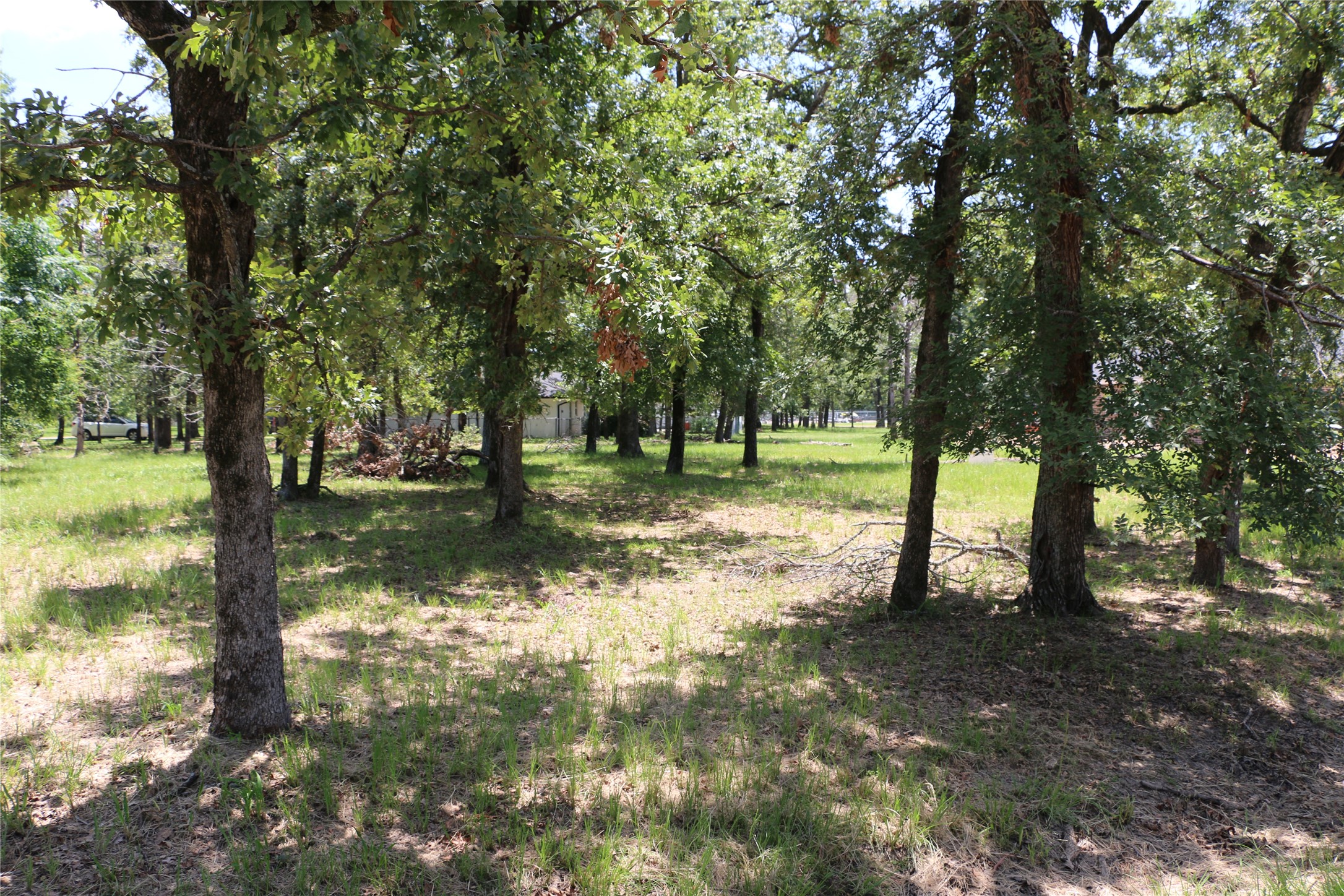 6 Deer Run Star Harbor TX 75148