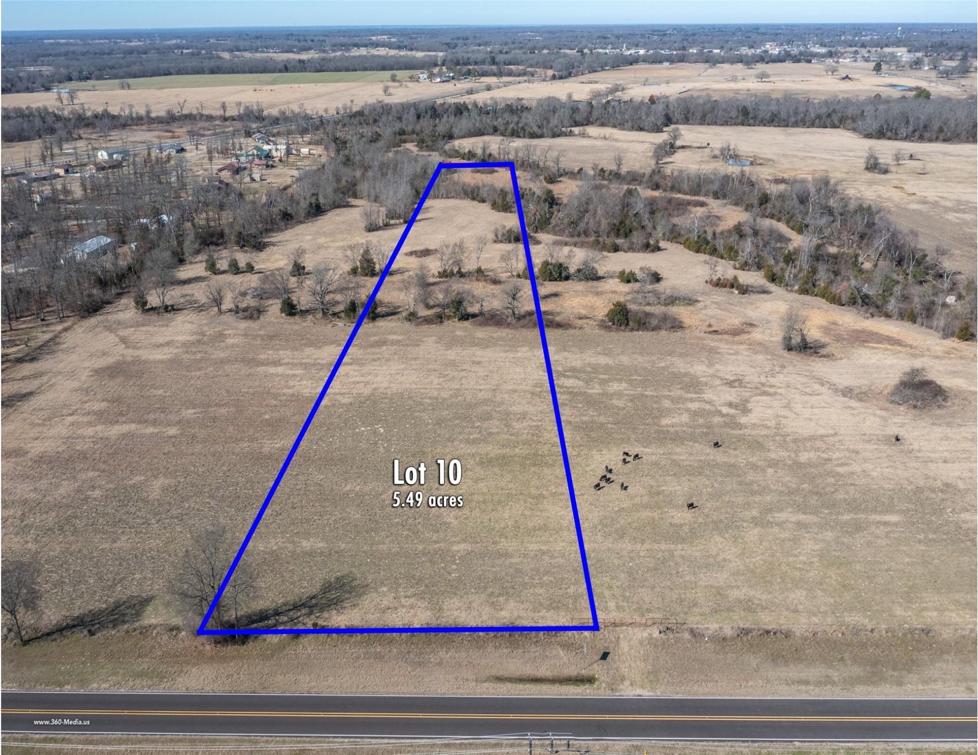 Lot 10 Fm 779 Emory TX 75440