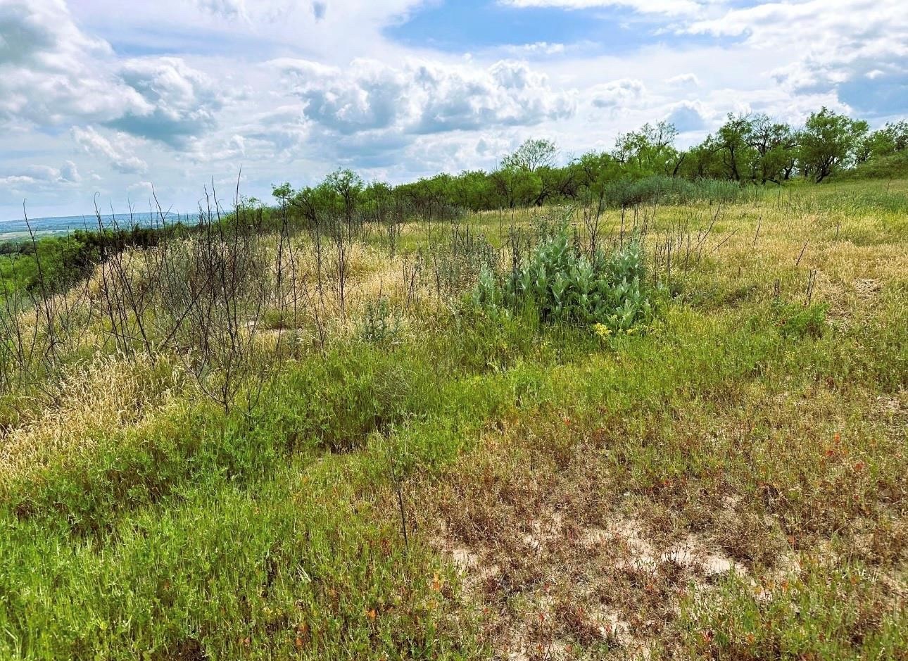 109 Comanche Hills Comanche TX 76442