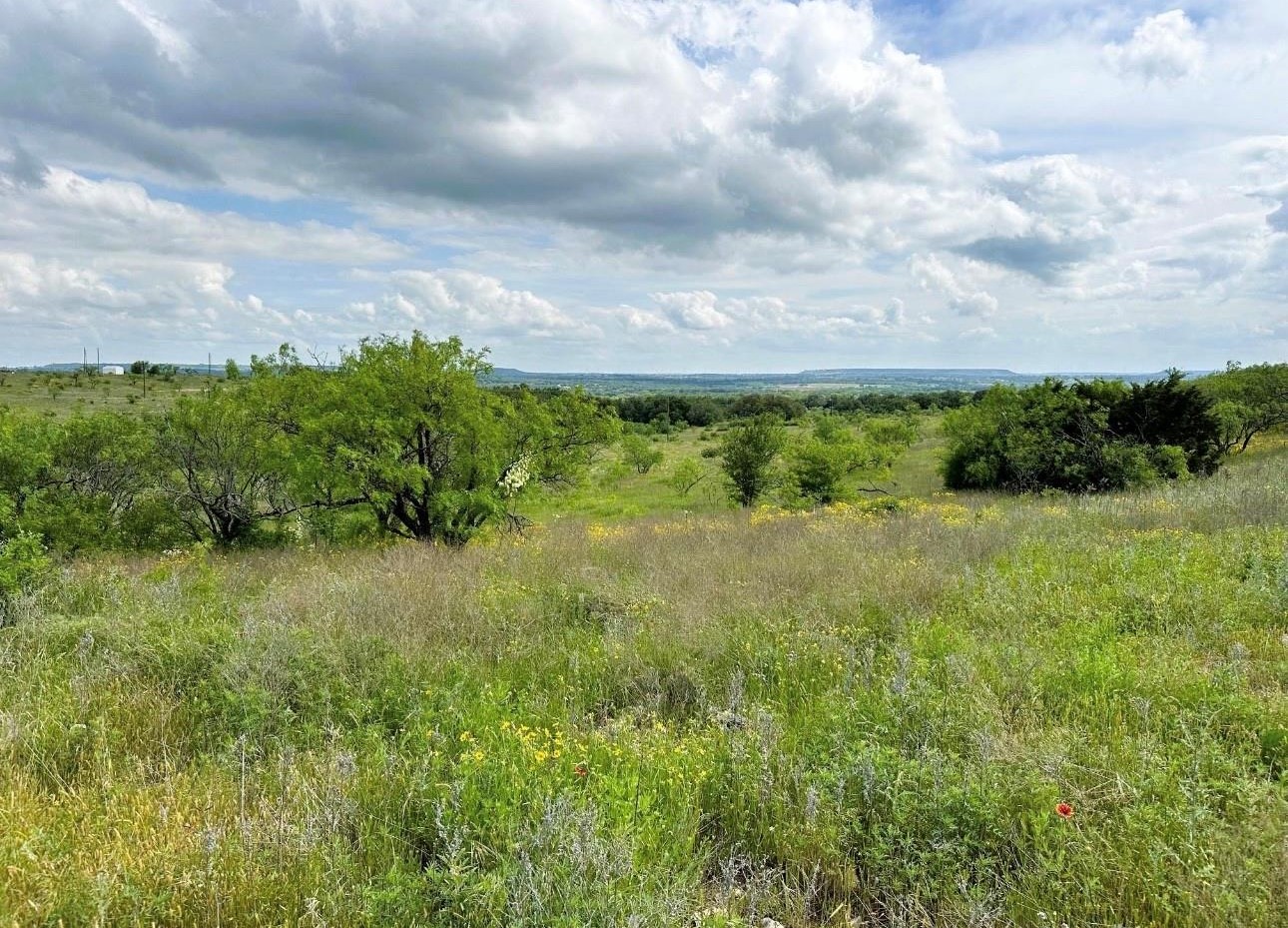 109 Comanche Hills Comanche TX 76442