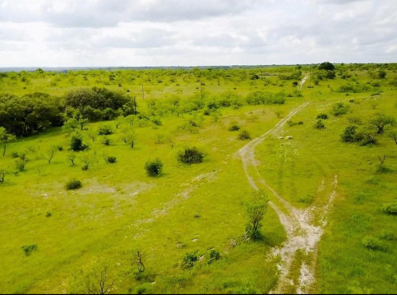109 Comanche Hills Comanche TX 76442