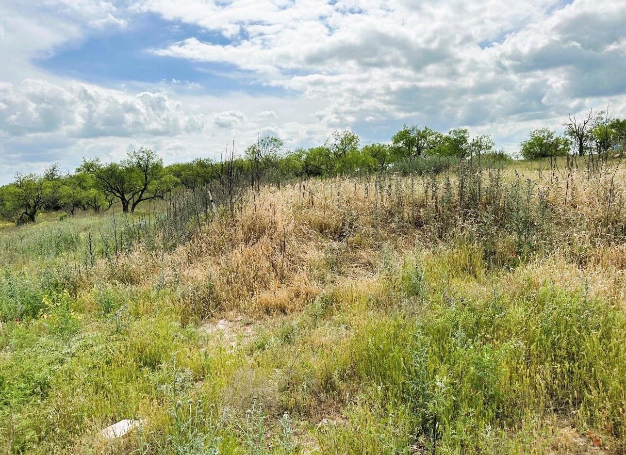 109 Comanche Hills Comanche TX 76442
