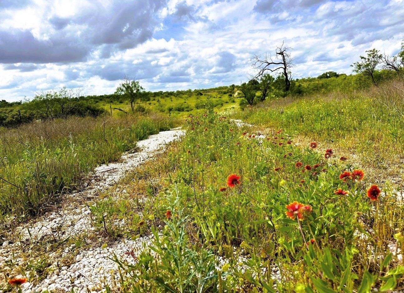 109 Comanche Hills Comanche TX 76442