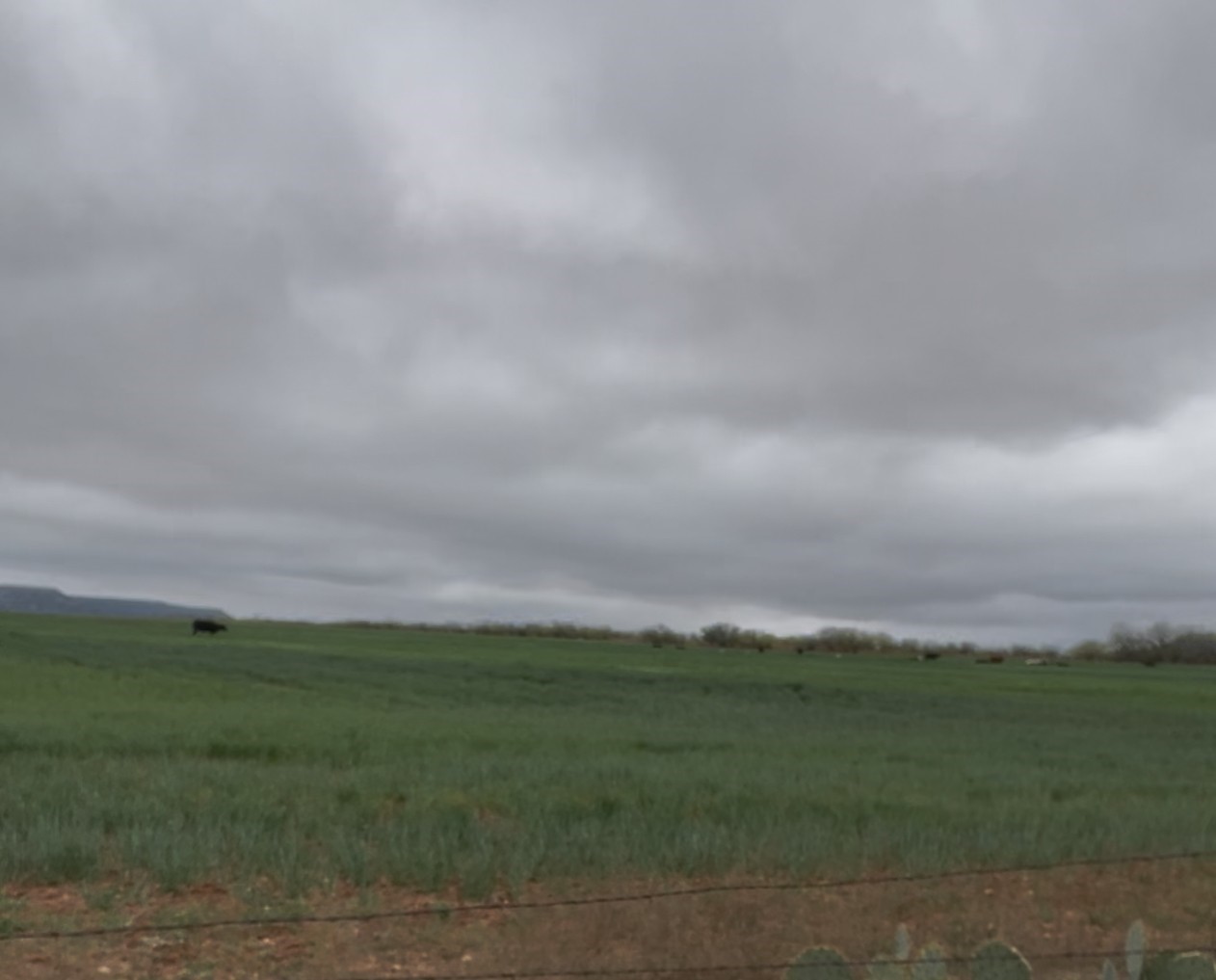 Tbd Fm-1770 Winters TX 79567