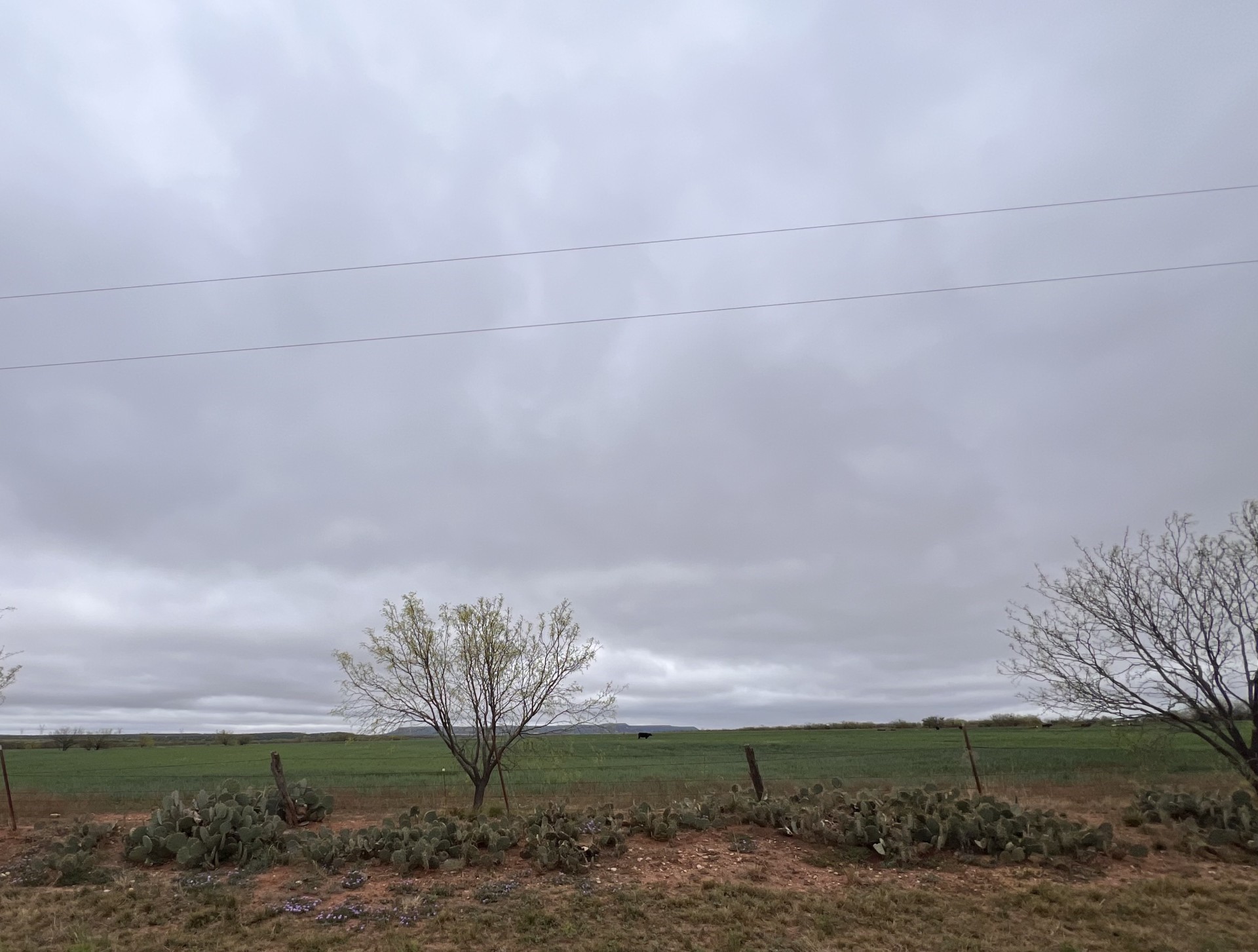 Tbd Fm-1770 Winters TX 79567