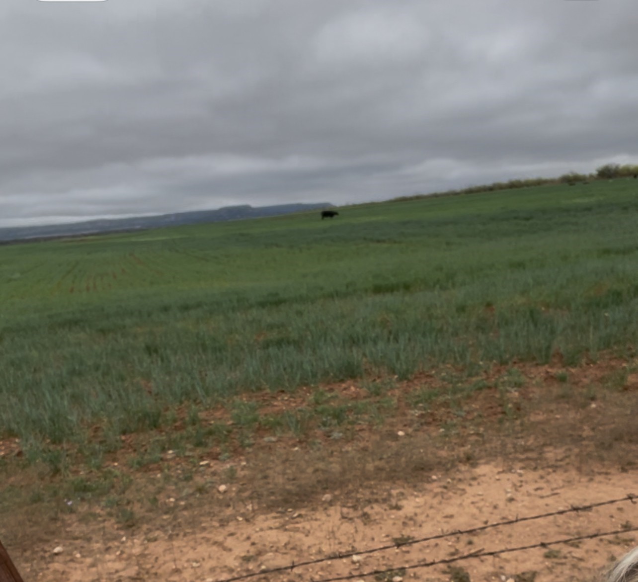 Tbd Fm-1770 Winters TX 79567
