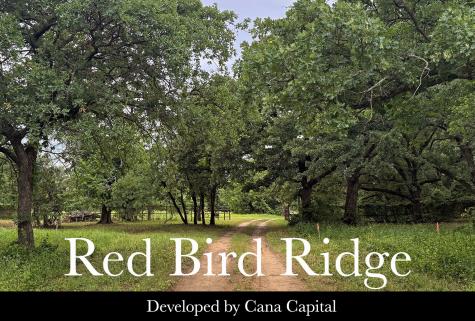 1131 Ellen Donald Lane Argyle TX 76226