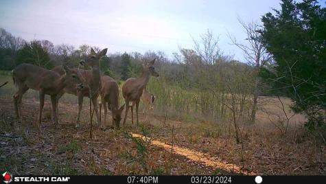 3285 Roland Road Whitesboro TX 76273