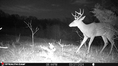3285 Roland Road Whitesboro TX 76273