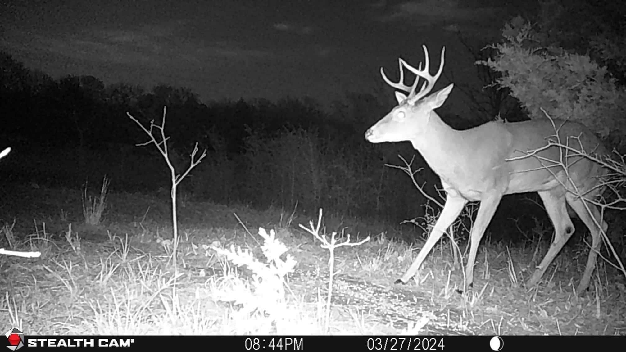 3285 Roland Road Whitesboro TX 76273