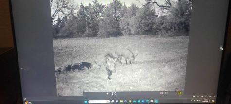 3285 Roland Road Whitesboro TX 76273